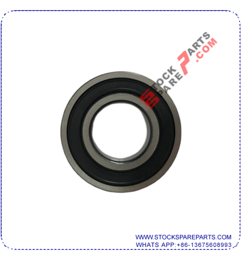 WHEEL BEARING 6013-2RS
