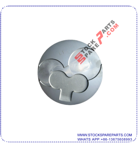 PISTON 12010-31N03