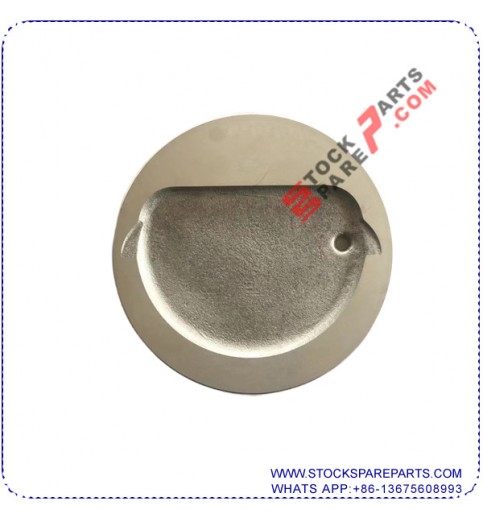 PISTON 13101-72010