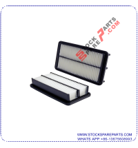 AIR FILTER 28113-4D000
