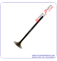 Inlet Valve 036 109 601AD