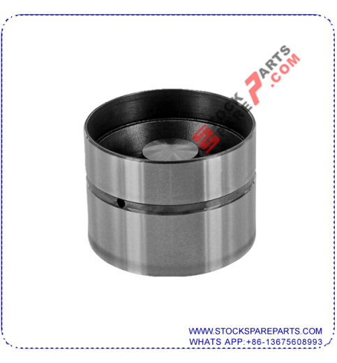 VALVE TAPPET 050.109.309H