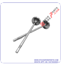 Exhaust Valve 058 109 611M