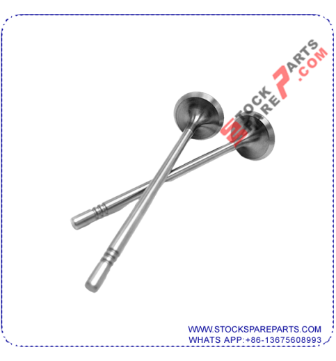 Exhaust Valve 058 109 611M